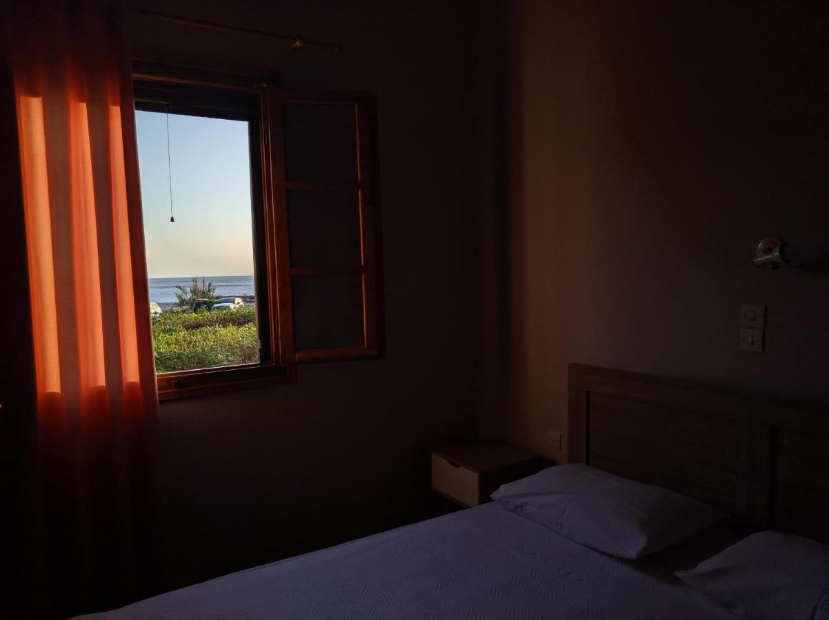 Tramonto Nel Delfini