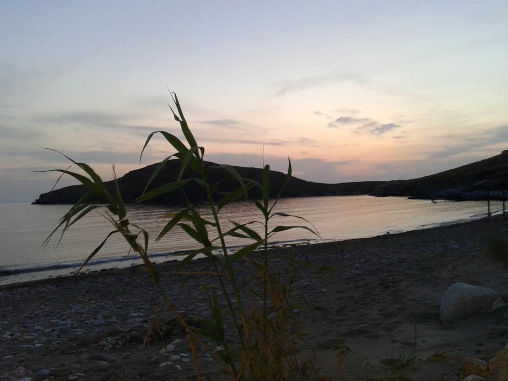 公寓 Tramonto Nel Delfini *
